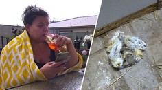 Výměna manželek: Hanka se o statek nepostarala. Umřeli králíci a kuřátka!
