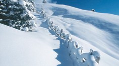 PŘIJDE KRUTÁ ZIMA? Krušnohorský meteorolog to ODMÍTÁ!