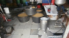 Plíseň, trus a totální humus! Tady nám výrobce připravoval jídlo