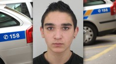 Z Dobřan, odkud pustili vraha z Břízy, utekl nebezpečný pacient!