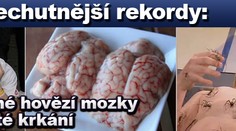 Nejnechutnější rekordy: snězené hovězí mozky i hlasité krkání