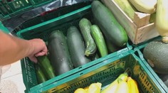 Růst cen překvapil i ekonomy! Dražší jsou "neřesti", maso a také ovoce