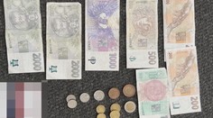 Žena si v obchodě zapomněla peněženku. Od strážníků pak dostala pokutu