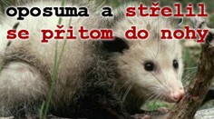Muž pronásledoval oposuma a střelil se přitom do nohy
