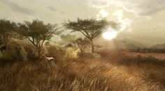Lvi a krokodýli ve Far Cry až časem