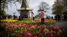 V zemi tulipánů začala jarní slavnost. Otevřela se nejkrásnější květinová zahrada