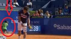 Podavače míčků srazil k zemi lev! Klučina vstal a dělal jako by nic