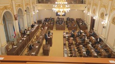 Část vlády souhlasí se snížením svých platů. Vyzval ji k tomu prezident