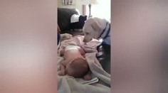 Nejpečlivější labrador na světě! Podívejte, co udělal: VIDEO