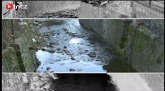 Vrhla se do vody, aby zachránila vozíčkářku. Utopila se