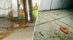 V oblíbené restauraci se proháněly myši. Inspektoři ji hned uzavřeli