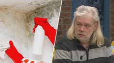 Plíseň v bytě může způsobit zdravotní potíže. Podívejte se, jak jí můžete předejít