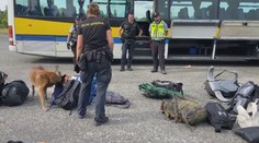 Tvrdé drogy a znásilněná žena. Na festivalu v Milovicích zasahovala policie
