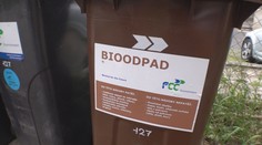 Každý Čech ročně vyhodí 33 kilogramů potravin. Často je to chléb a zelenina