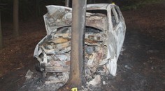 Muž ochromil ženu paralyzérem a pak ji zapálil. Teď stanul před soudem