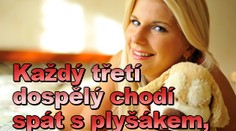 Každý třetí dospělý chodí spát s plyšákem, zjistil výzkum