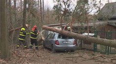 Silný vítr udeřil v ČR. Lámal stromy a odřízl tisíce domácností od proudu
