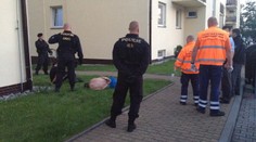 Policisté přijeli umravnit hlučný mejdan, napadla je agresivní trojice cizinců