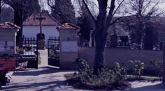 Horor u hřbitova. Našli tam auto s prasečí hlavou a zabodnutým nožem