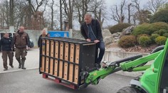 Mláďata medvěda plavého mají nový domov. Odcestovala do Indonésie