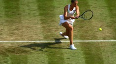 PROGRAM VYSÍLÁNÍ: V akci české tenistky ale i Roger Federer!