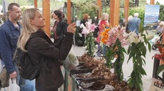 Největší zahradní výstava v Česku. Jarní Floria přilákala 50 tisíc návštěvníků
