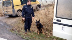 Zloději kradli měď v cukrovaru. Vypátral je pes