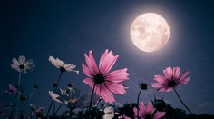 Úplněk se stínovým zatměním mění osud. Můžete mnohé získat, říká astroložka