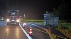 Drama na hranicích s Německem. Policie tam při přestřelce zastřelila muže