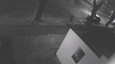 Muži v Ostravě ukradli psa ze zahrady rodinného domu. Hledá je policie