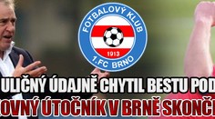 Besta v Brně skončil, údajně jej trenér chytil pod krkem