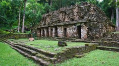 Archeologové v mexické džungli objevili zapomenuté mayské město