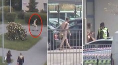 Naháč drze nakráčel do obchodu. Je to normální, tvrdil strážníkům
