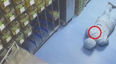 Vědkyně usilovně hledala laboratorní myš. Měla ji celou dobu na zádech