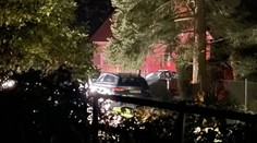 V lese večer našli zastřelené dítě. Případ řeší kriminálka