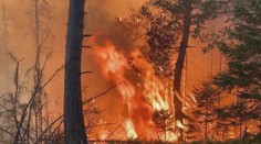 Armádní vrtulníky a desítky jednotek hasičů. České Švýcarsko opět zachvátily plameny