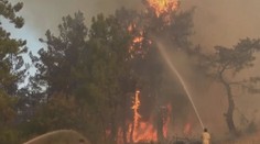 Z ráje ohnivým peklem: Požáry pustošily Itálii, Turecko i Rhodos