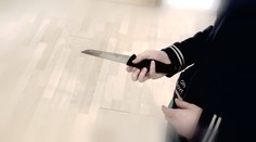 Mladistvých pachatelů přibývá. Útočník z Hradce si akci připravoval, tvrdí odborník