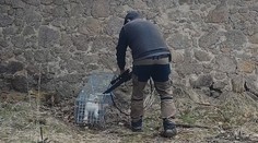 VIDEO: Hrozivé týrání zvířat u Prahy. Správce obory měl chytat a střílet kočky