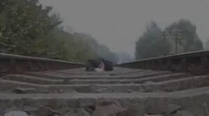 DĚSIVÉ VIDEO: Lehl si na koleje a točil, jak přes něj jede vlak