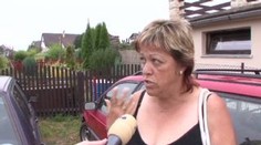 Strážník popravil psa. Majitelé tvrdí, že zbytečně