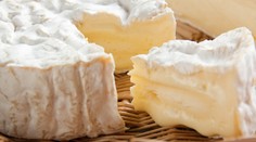Oblíbené sýry už si nedáte. Dochází důležitá ingredience k jejich výrobě