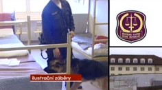 Ve věznicích by se mohlo propouštět. Počty hlídačů klesají