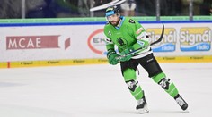 Ze zedníka extraligovým obráncem. Tohle je pohádka, říká Gewiese