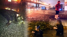 Běsnící Sandy: Rakve vyplavené z hrobů a lachtani na ulicích