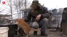 Zvířecímu tátovi záhadně umírají kočky. "Někdo je tráví," říká