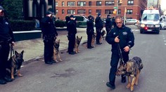 Policejní pes prohrál s rakovinou. Na poslední cestu mu salutovali