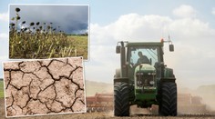Česko za 50 let: Přijdou i 40° vedra, objeví se tropické nemoci