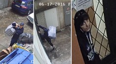 Zloděj smolař! Zatímco kradl, někdo ho na dvoře zamknul