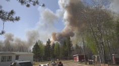 Severní Ameriku sužuje vlna veder. O život připravila už desítky lidí